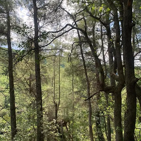 La Ciammarichella, Rifugio Nella Natura Da 2 A 5 Ospiti 3*